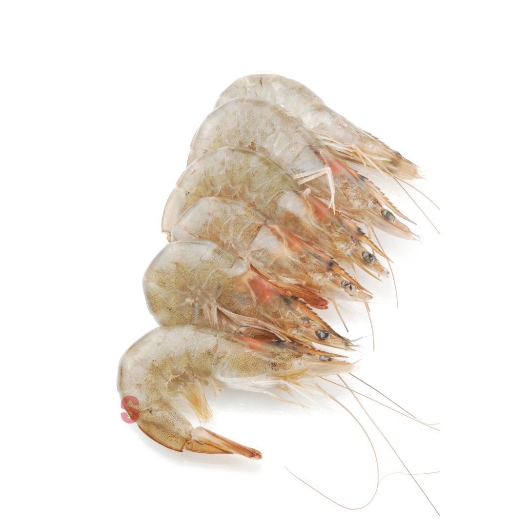 Head on prawns 26-30