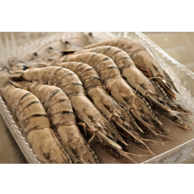 head on 6-8 black tiger prawns