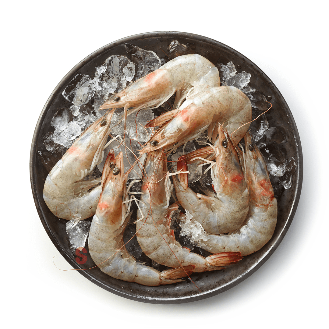 HeadOnPrawns31-40