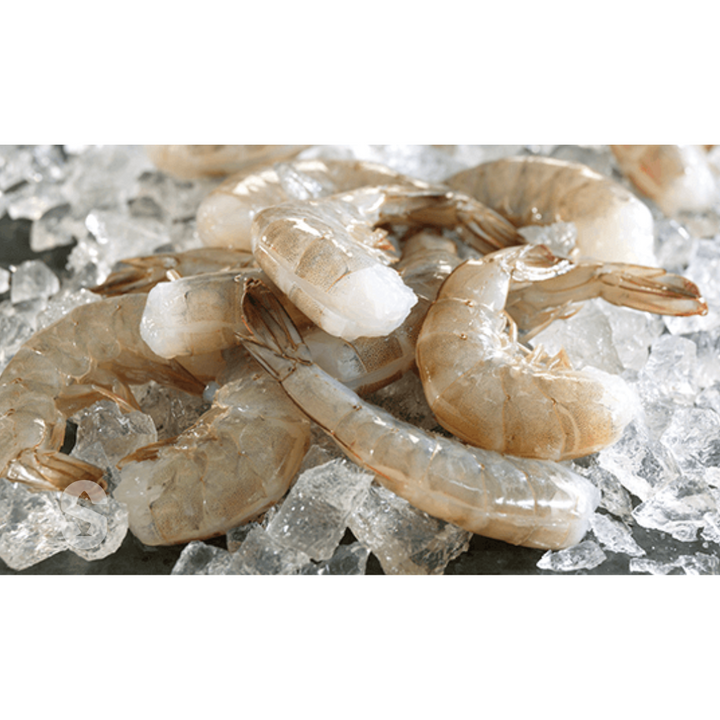 Raw shrimp prawns on a bed of ice, photographed in a clean studio-style close-up.