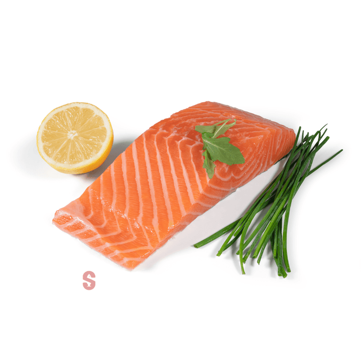 Norwegian Salmon Fish
