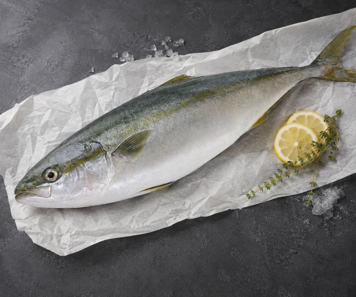Fish