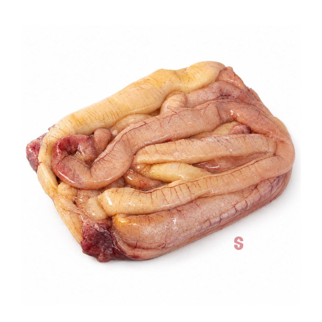 Raw snoek roe kuite on a white background 