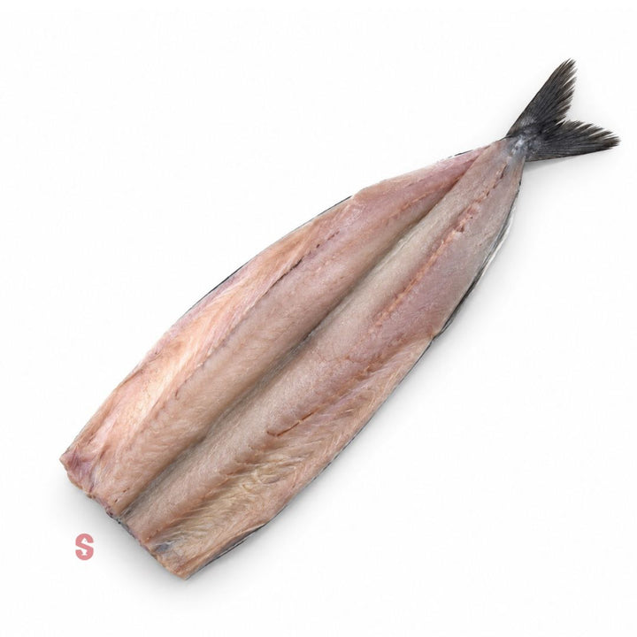 Snoek fillet on a white background