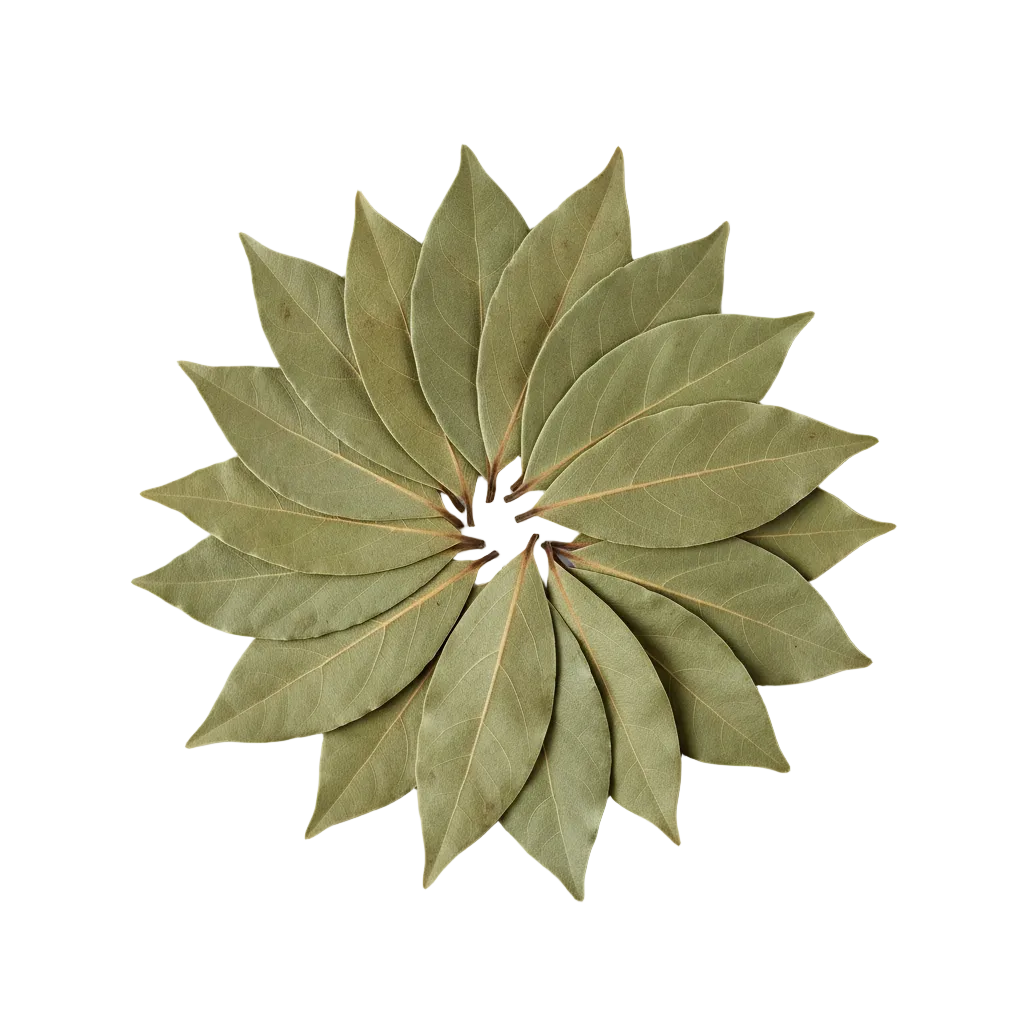 bay leaves 10g on a plain background