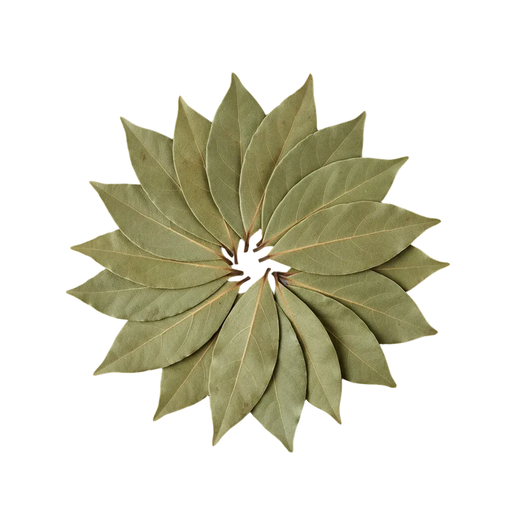 bay leaves 10g on a plain background